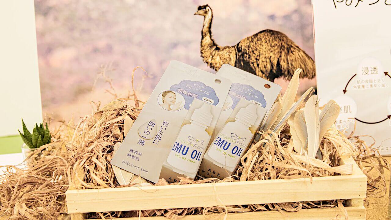 部門 トップ画像